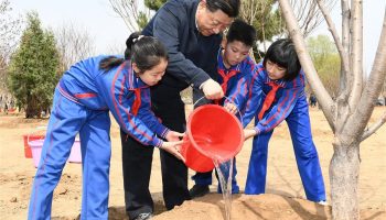 Xi stresses wide participation in promoting afforestation